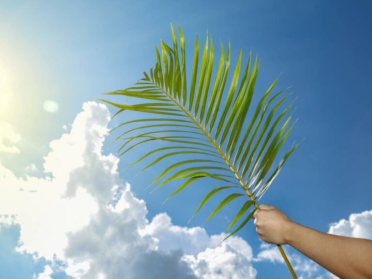 Palm Sunday Quotes for Faith, Hope, and Peace palm sunday quotes